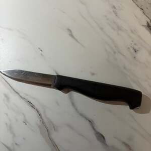 Victorinox Swiss Classic 3.25" Spear Point Paring Knife